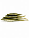 5" Jerk Bait