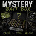 Mystery Bait Box